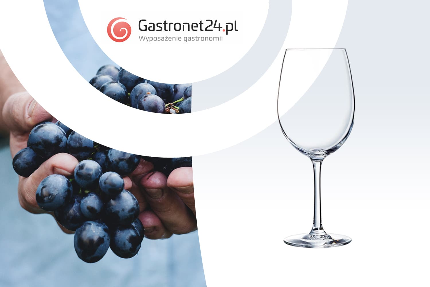 Jakie kieliszki do wina czyli winny savoir vivre Blog