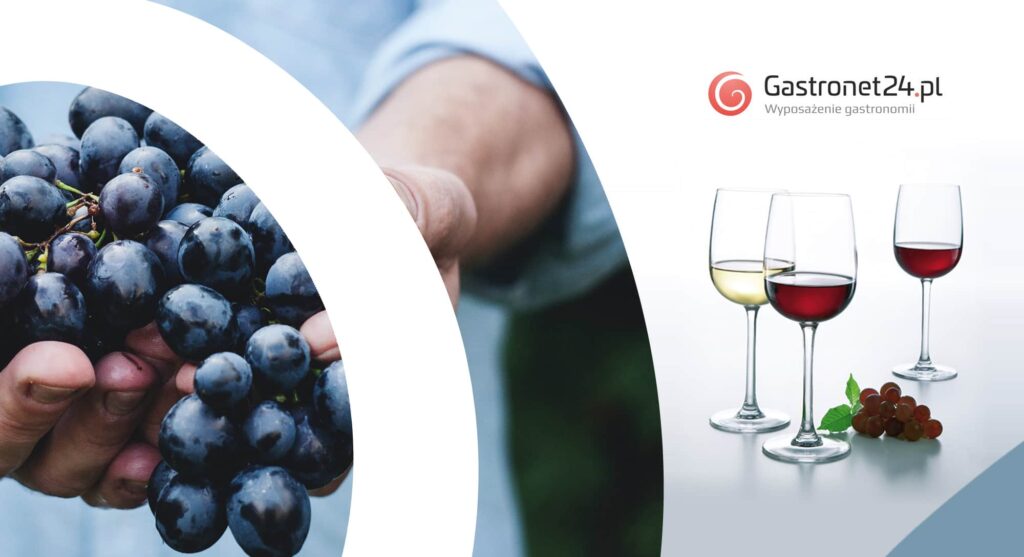 Jakie kieliszki do wina czyli winny savoir vivre Blog