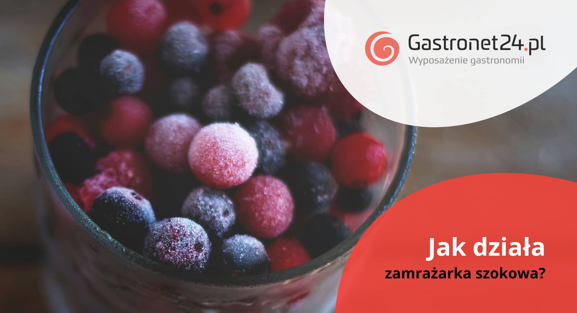 jak działa zamrażarka szokowa?