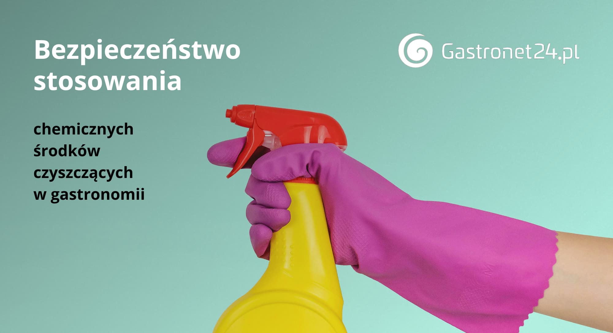 profesjonalna chemia dla gastronomii